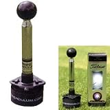 Buy Perfect Pendulum