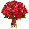 Roses - Lady In Red(Valentines Offer: Free Shipping)