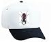 White Cap with male, beetle, insect, mandibles, hane, invertebrate, ekoxe, animal, ja...