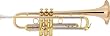 Conn 1BR Vintage One Series Professional Bb Trumpet, Silver Rose Brass Bell