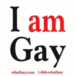 I Am Gay