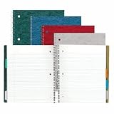 Rediform 33001 Wirebound 5-Subject Write-On Tab Notebook, College/margin Rule, 200 Sheets