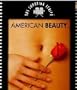 American Beauty
