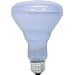 GE Lighting 87904 65-Watt BR40 Reveal Floodlight, 1-Pack