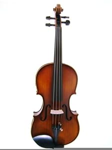The Jinyin Model E800e Electric Violin 4/4 Is A Wonderful Instrument To Start Exploring The World Of Electric Violin.