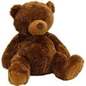 Big Brown Teddy Bear