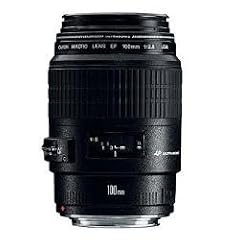 Canon EF 100mm/1:2,8 USM Macro  Objektiv (58 mm Filtergewinde)