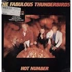 Hot Number by  THE FABULOUS THUNDERBIRDS 