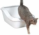 Cleany Cat Cat Litter Tray Toilet