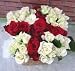 �u�[�P�^�C�v�@�C���O�����h �y���ԁz�y���j���z�L�O���z�y�a�����z�y�t�����[�M�t�g�z�y�o���z