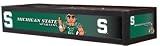 Michigan State Spartans Billiard Pool Table Light