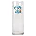 New Orleans Hornets NBA 9 Flower Vase - Primary Logo by Great American Products