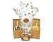 Gourmet Caramel Apple Gift Pack Image