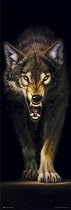 Posters: Meiklejohn Graphics Door Poster - Wolf (62 x 21 inches)