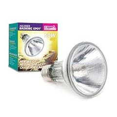 Arcadia - Halogen Basking Spot 50W E27