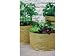 Image of Haxnick Jute Vegetable Patio Planter Set X3