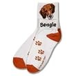 For Bare Feet Beagle Roll Down Socks