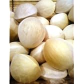 静岡県産　銀杏　80g