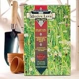 Outdoor Living : Meadow Lawn Seed 250g