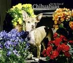 image link - - B002GWSOQW