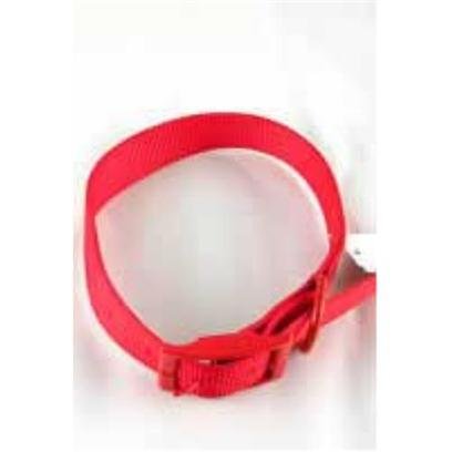 NYL COLLAR 5 8X18