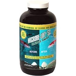 Ecological Laboratories Microbe-Lift SA Liquid Sludge Away (32 oz.)