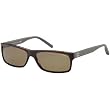 Tommy Hilfiger 1003/S Men's Sports Sunglasses - Dark Olive/Gray/Brown
