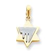 14k Two-tone Star of David Pendant