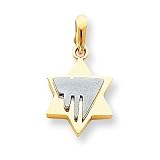 14k Two-tone Star of David Pendant