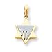 14k Two-tone Star of David Pendant