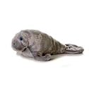 Manny Manatee Mini Flopsie 8