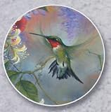 Hummingbird & Honeysuckle Auto Coaster - Single Coaster for Your Car