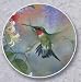Kitchen & Housewares : Hummingbird & Honeysuckle Auto Coaster - Single Coaster for Your Car