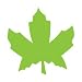 ACCUCUT DIE SET MAPLE LEAF #2