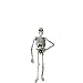 Skeleton 5ft
