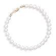 7" 14k Yellow Gold 5-5.5mm Freshwater Pearl Bracelet