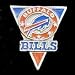 Team Design 3rd Ed. NFL Pin - Buffalo Bills