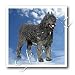 Dogs Bouvier - Bouvier Des Flandres - Iron on Heat Transfers