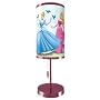 KNG Disney's  Princess 3D Lenticular Lamp