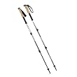 Black Diamond Alpine Carbon Cork Trekking Poles (Pair)