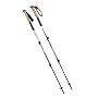 Black Diamond Alpine Carbon Cork Trekking Poles (Pair)