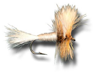 White Wulff Fly Fishing Fly