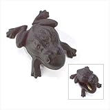 IMAGE OF Frog Key Hider