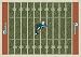 Miami Dolphins 7 8 x 10 9 NFL Home Field Area Rug