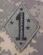 1st Marine Division ACU Patch Foliage Green