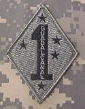 1st Marine Division ACU Patch Foliage Green