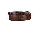 Lucchese Classics W5731 Hand Tooled Leather & Alligator Belt Mens - Chocolate