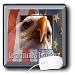 Beverly Turner Eagle Scout Design and Photography - Bald Eagle Close Up Congratulations Eagle Scout - Mouse Pads