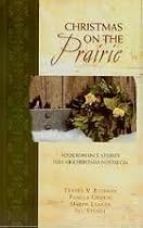 Christmas on the Prairie: Take Me Home/One Wintry Night/The Christmas Necklace/Colder Than Ice (Christmas Anthology)
