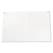 Day Runner Express Weekly Planning Pages Refill, 2010 Edition, Hourly Appointments Mon-Fri, 8.50 x 11 Inches, (068-285Y)